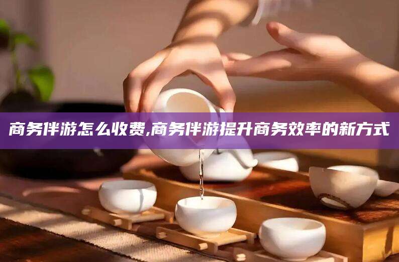 东海商务伴游怎么收费,商务伴游提升商务效率的新方式